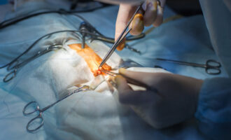 image of Tampa Bay veterinary surgeon preforming surgery